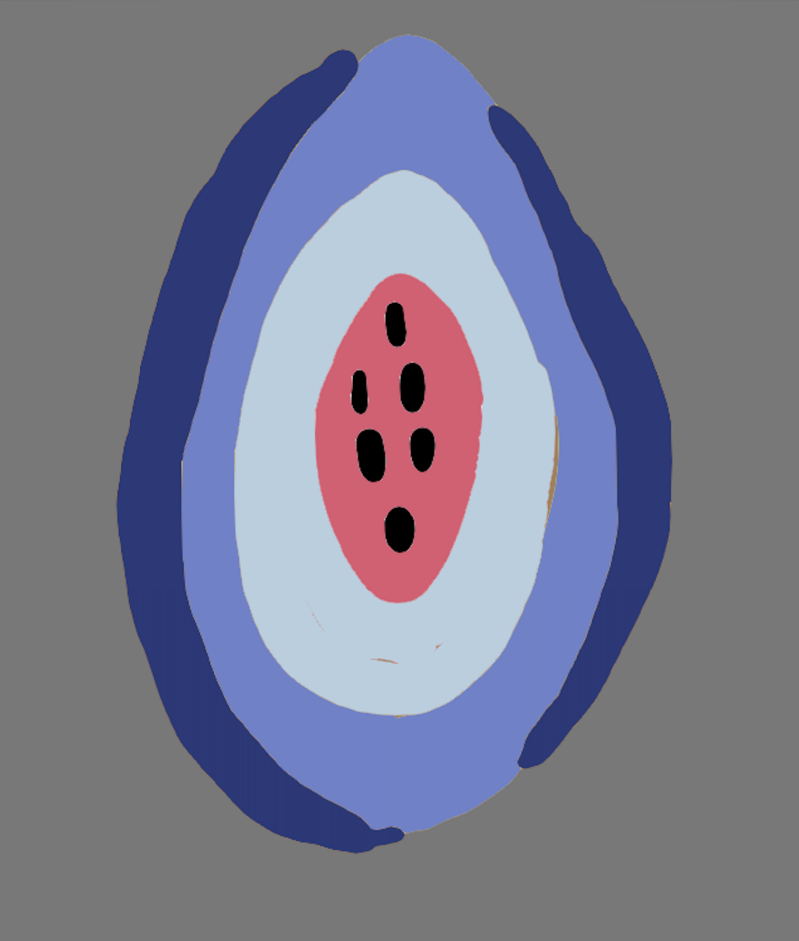 tuft-workshop-amsterdam-wandkleed-maken-5-standard-pwodb1.png