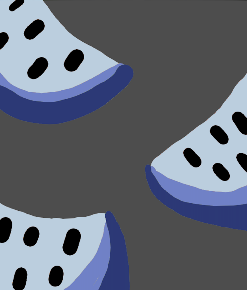 watermeloen-tuft-ontwerp-6-standard-53ivhq.png