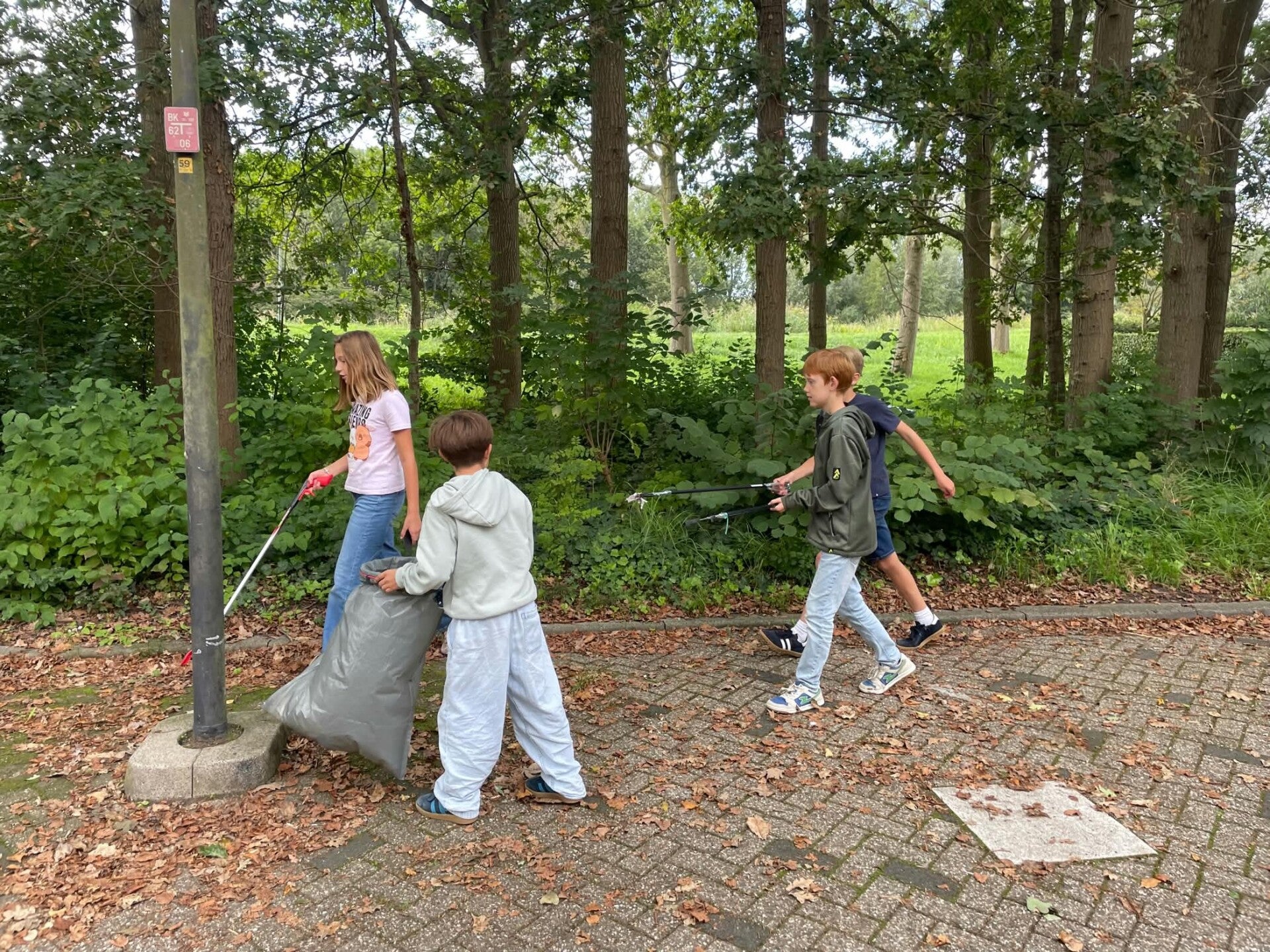clean-up-gr7-standard.jpg