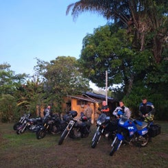 5-standard-yk7m63.jpg