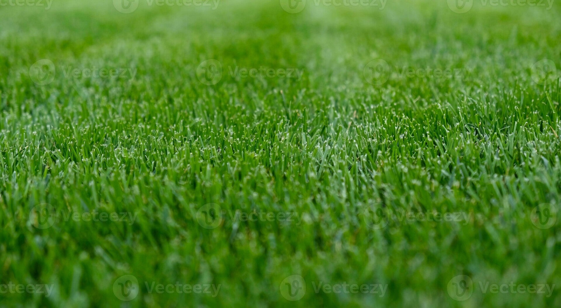 lawn mowing