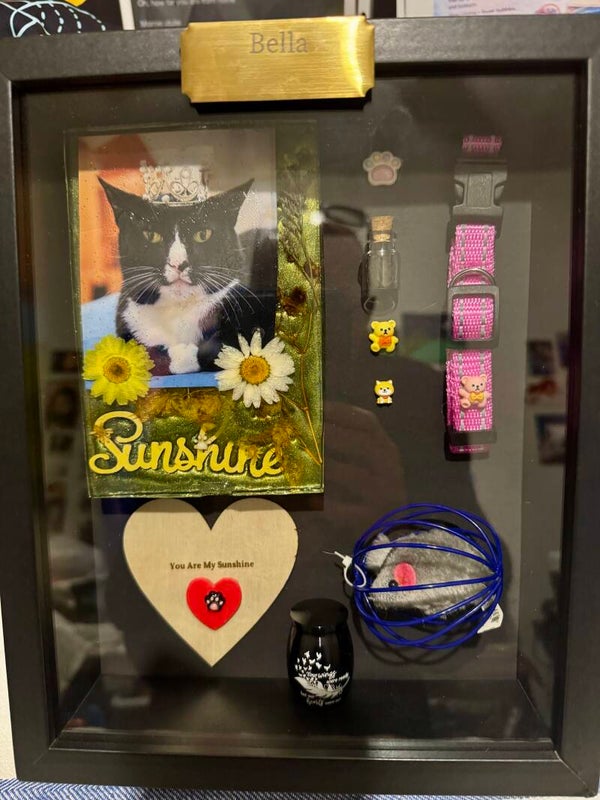 Black Med 8x10 inch Sturdy Shadow Box Frame with Resin Art Memorial