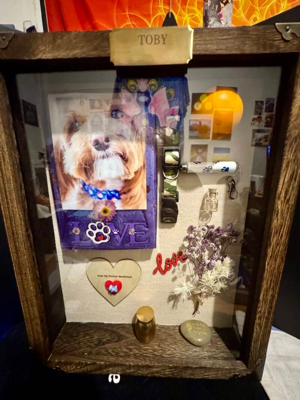 Brown Wood Lg 11x14 inch Deep Shadow Box Pet Memorial with Resin Art Pet Photo