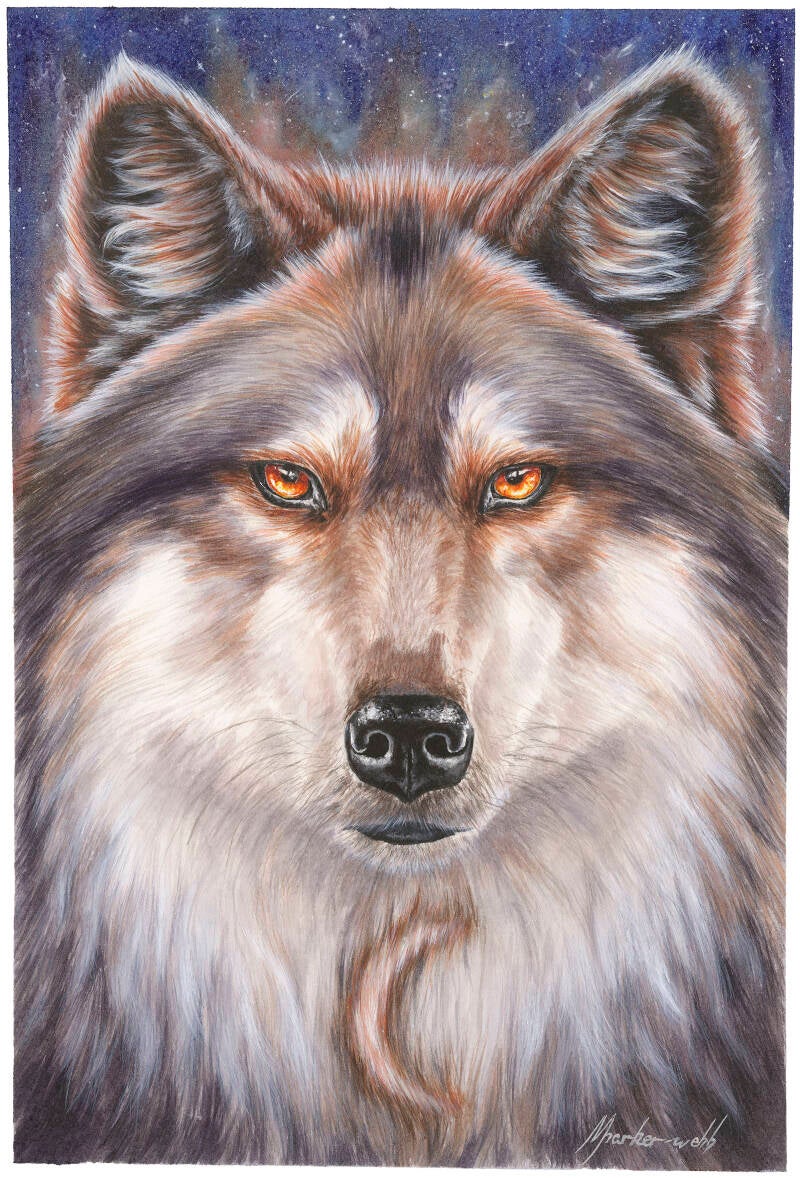 1-galaxy-wolf-standard.jpg
