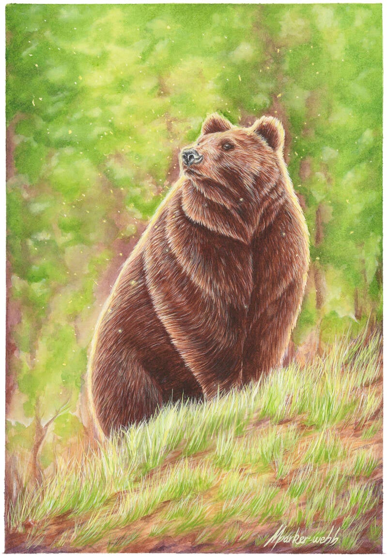 3-bear-standard.jpg
