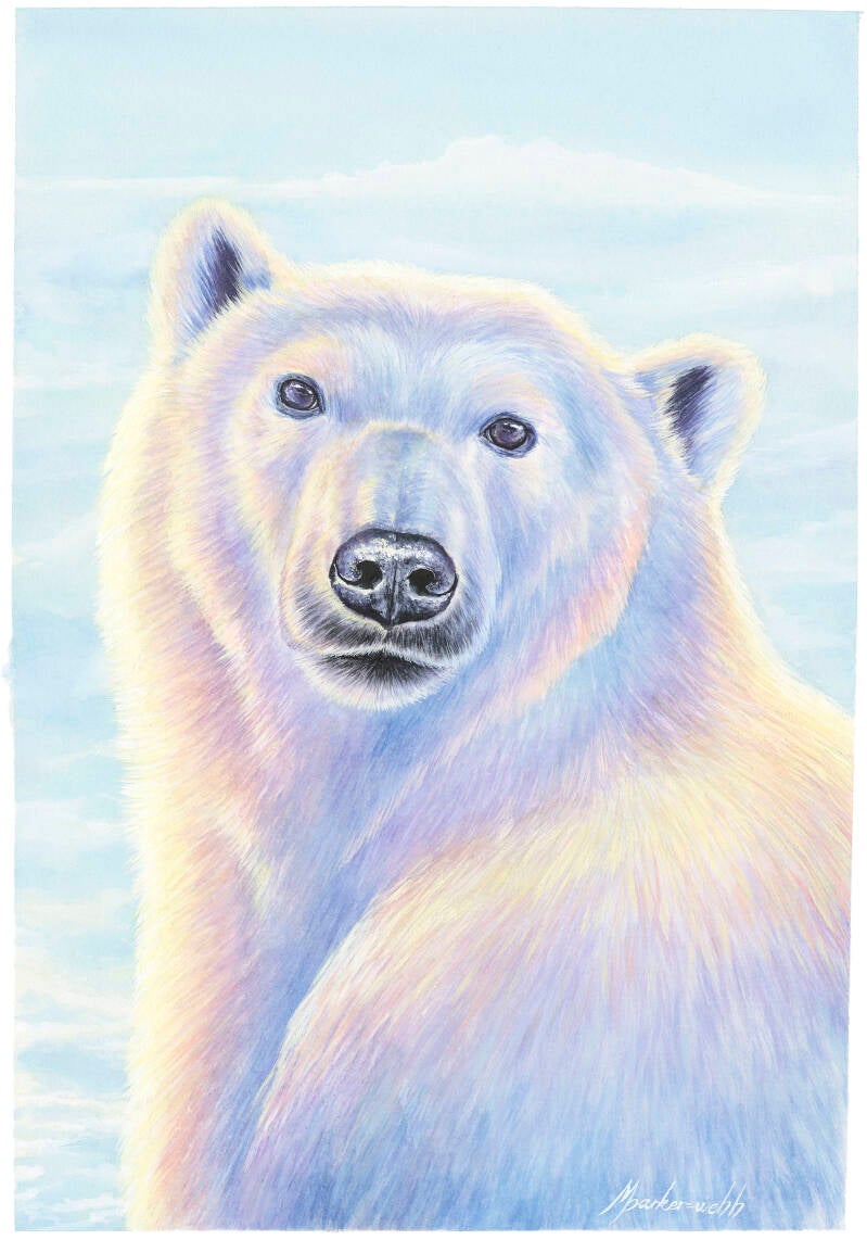 5-polar-bear-standard.jpg