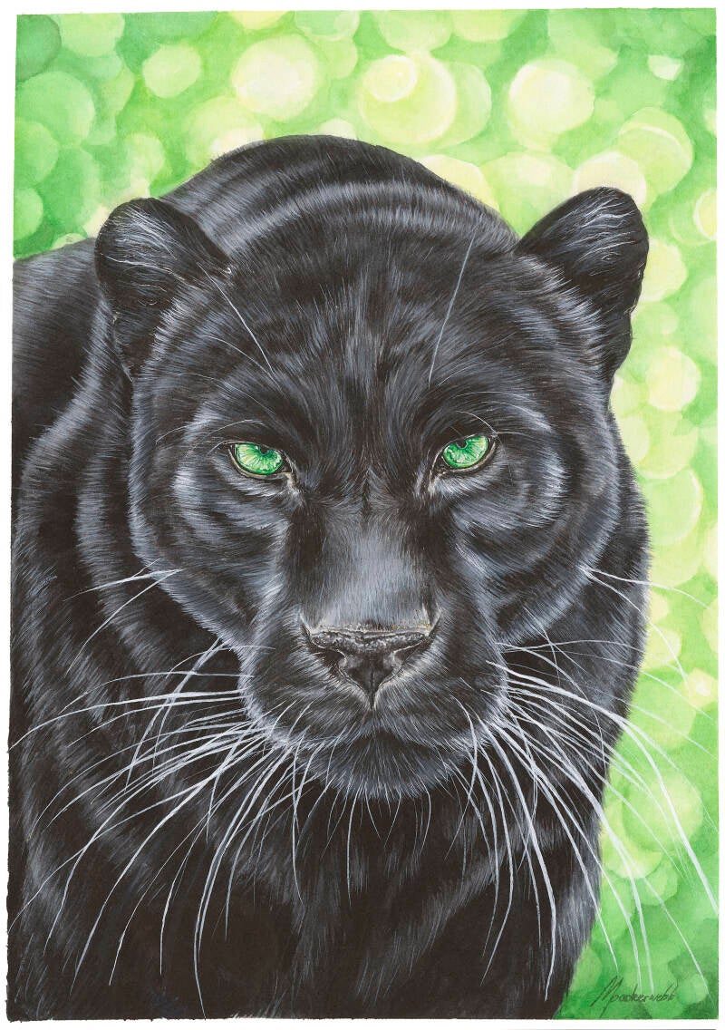 6-panther-standard.jpg