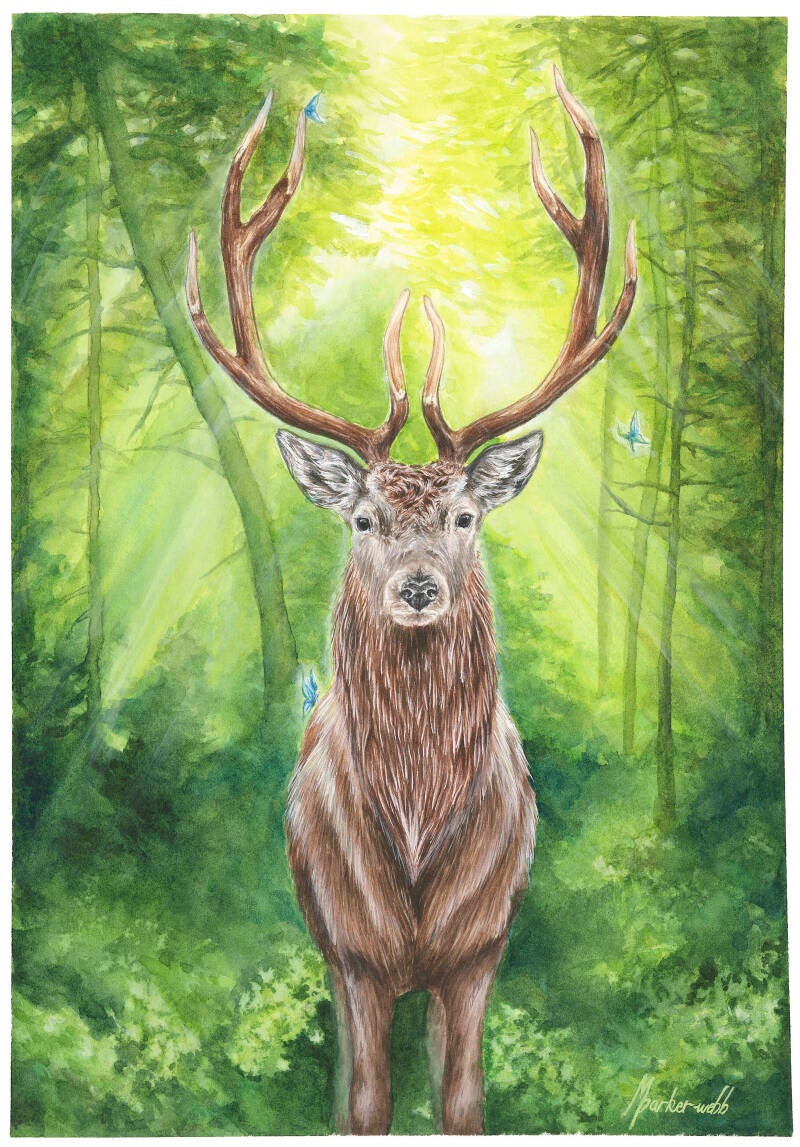 7-deer-standard.jpg
