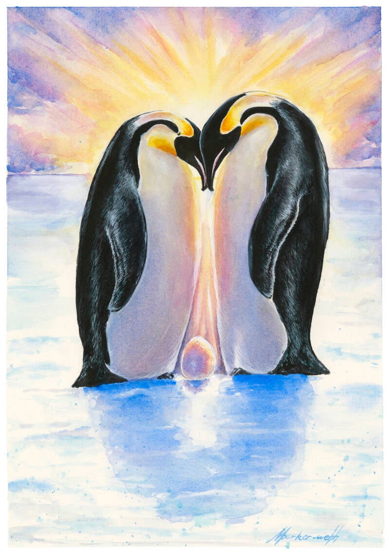 7-penguins-standard.jpg