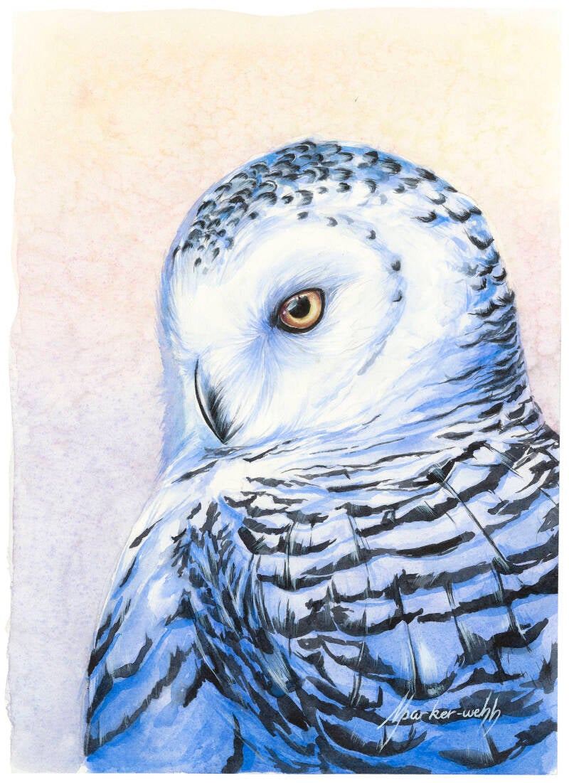 art-14-standard.jpg