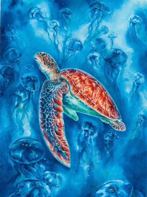 turtle-standard.jpg