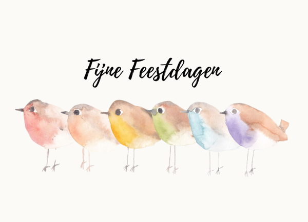 Kerstkaart regenboogborstjes 10 stuks