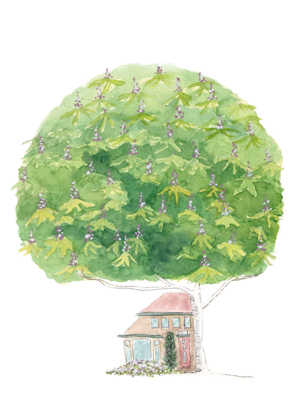 Unieke illustratie van je huis A3