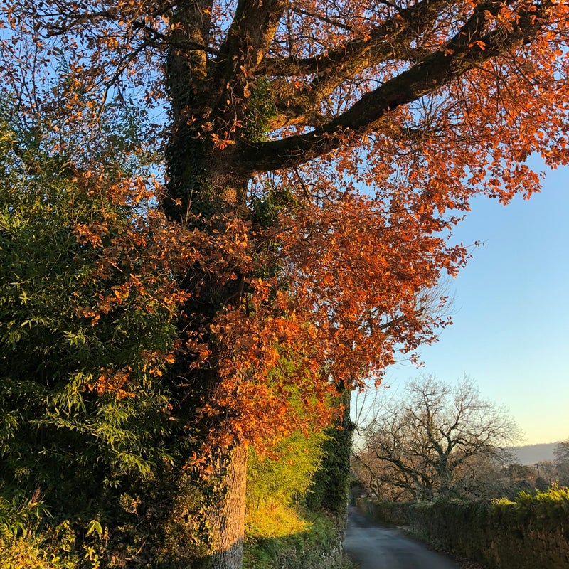 Rue des Ecoliers Vitrac