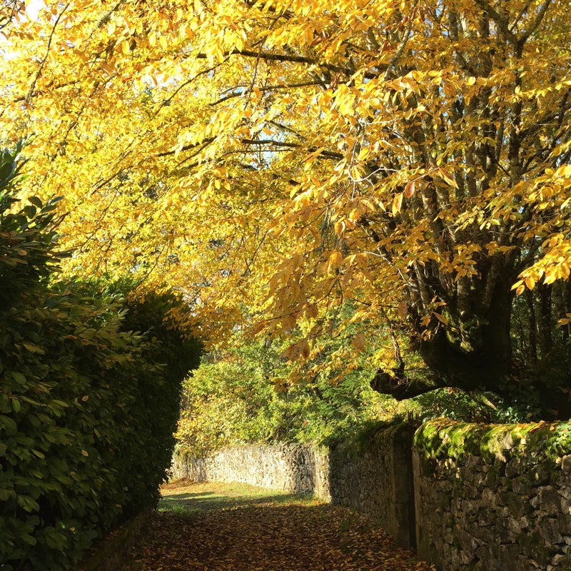 Chemin de randonnée devant l'entrée de l'Ecole Buissonnière de Vitrac