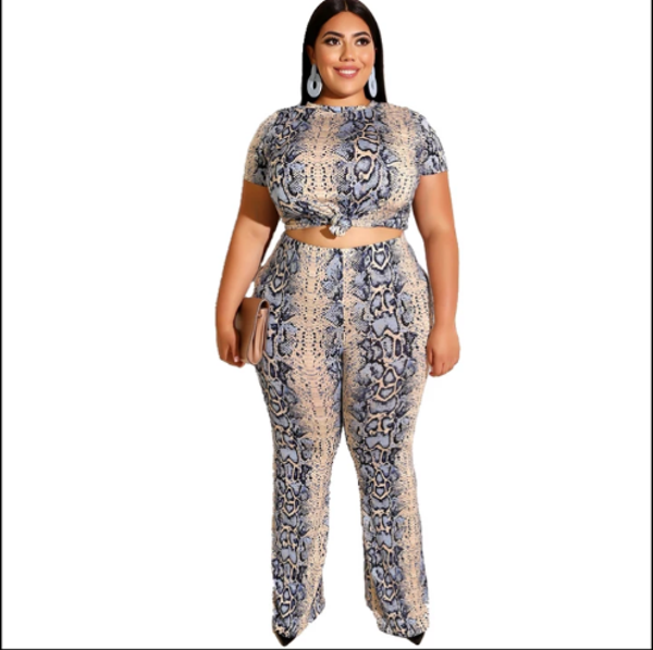 Plus sized women 2 piece