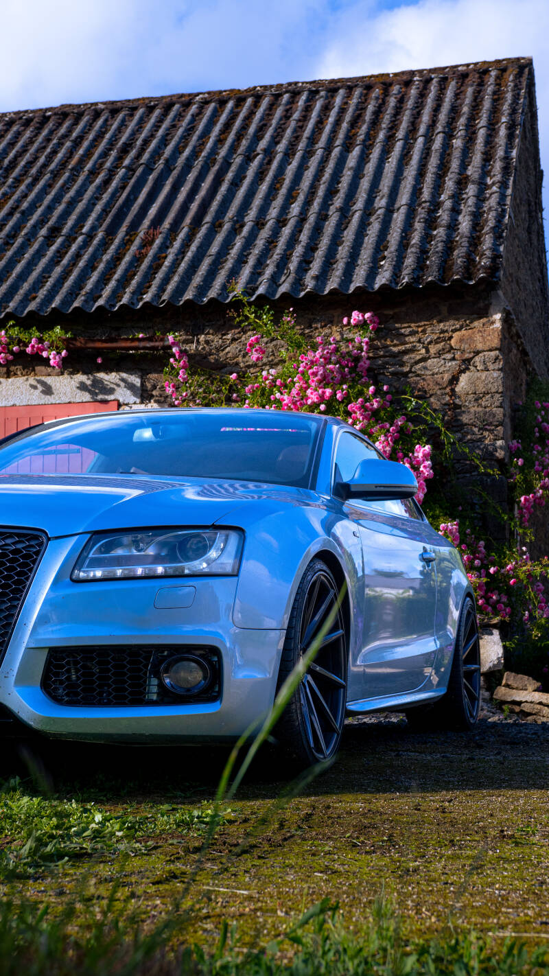 img_6998-standard.jpg