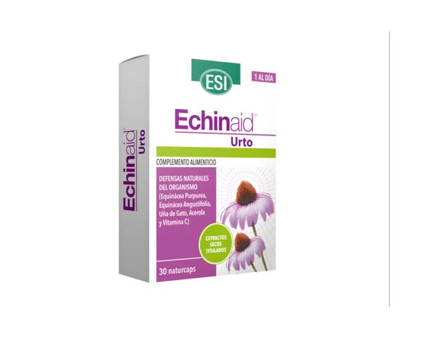 Echinaid Urto