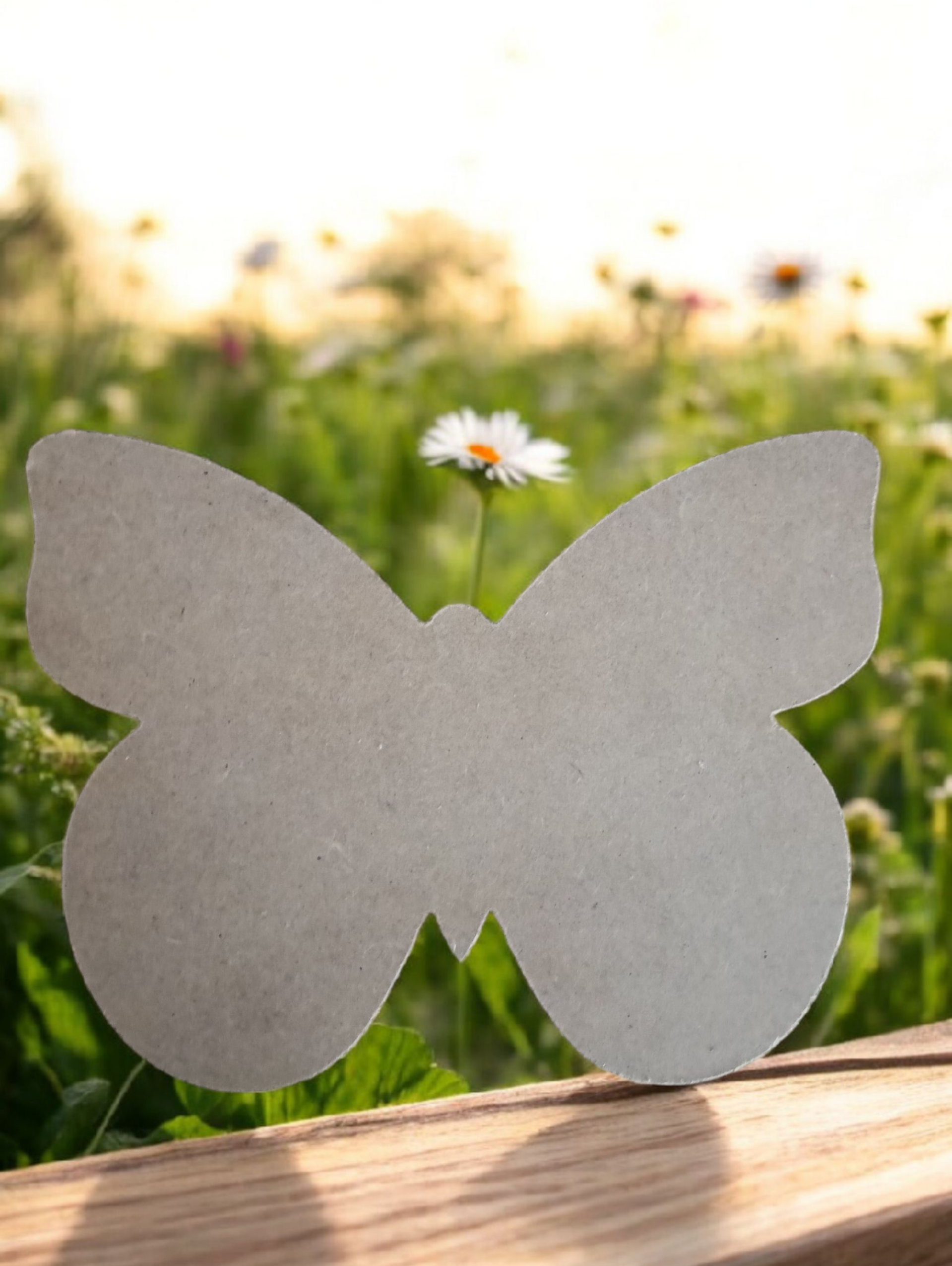 Vlinder 3, 12 x 17  cm