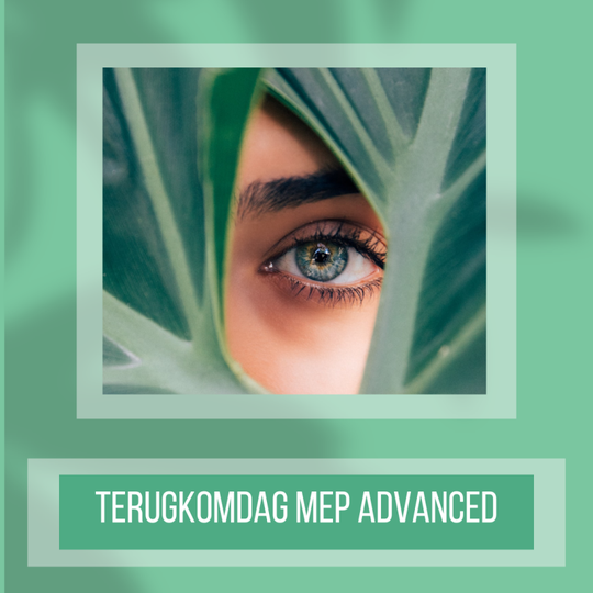 Terugkomdag MEP Advanced 10 april en 9 oktober 2026