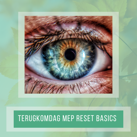 Terugkomdag MEP Reset Basics 15 april en 10 oktober 2026