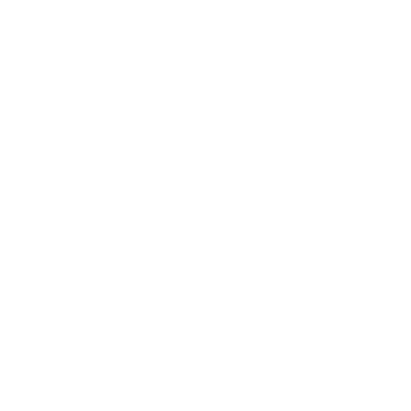 tekening van het hoofd met het brein