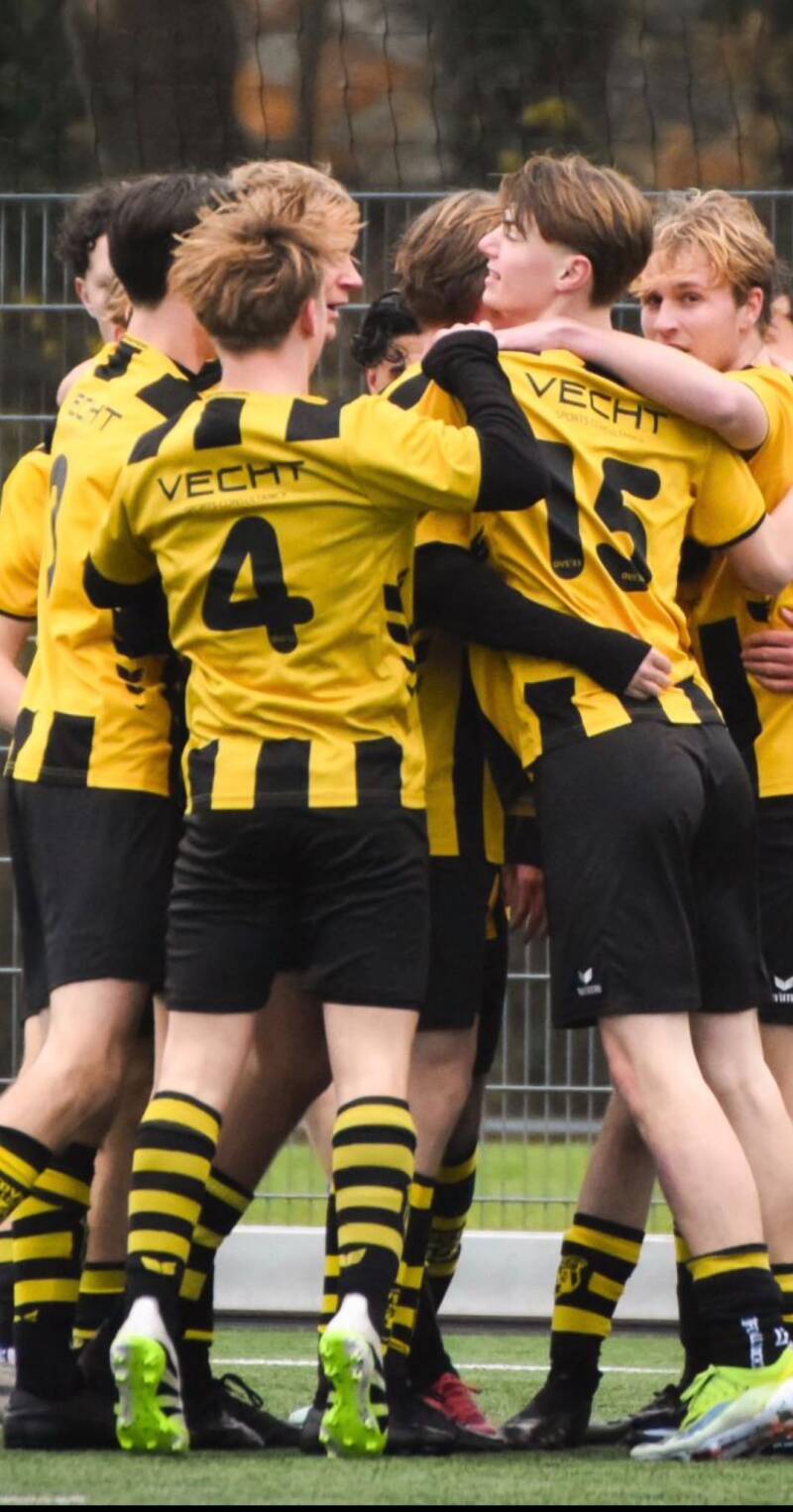 Vecht Sports Consultancy als sponsor van DVS'33