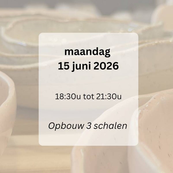 WORKSHOPS: opbouw 3 schalen maandag 15 juni
