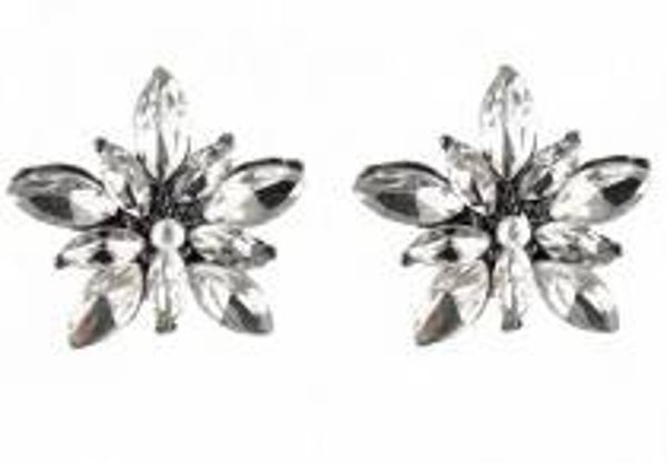 Crystal Flower Earrings 2x2cm wit