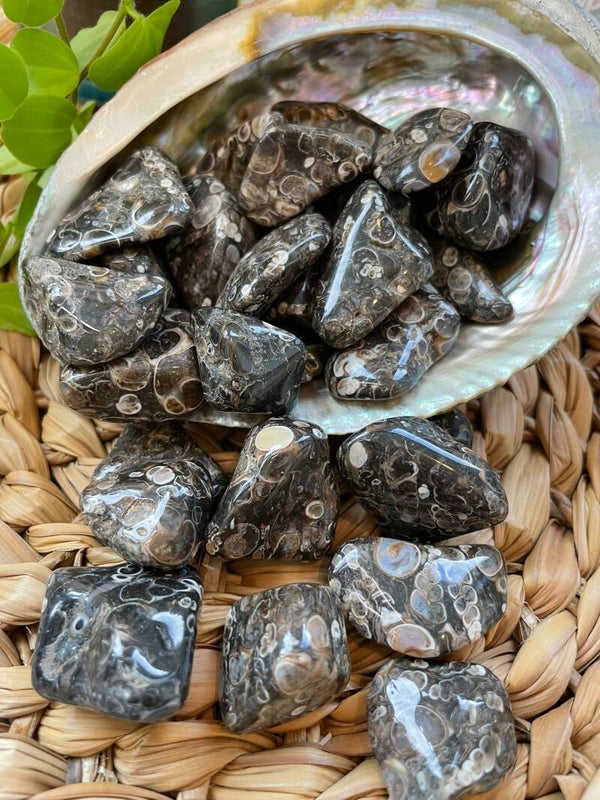 Turitella Agaat Trommelsteen M