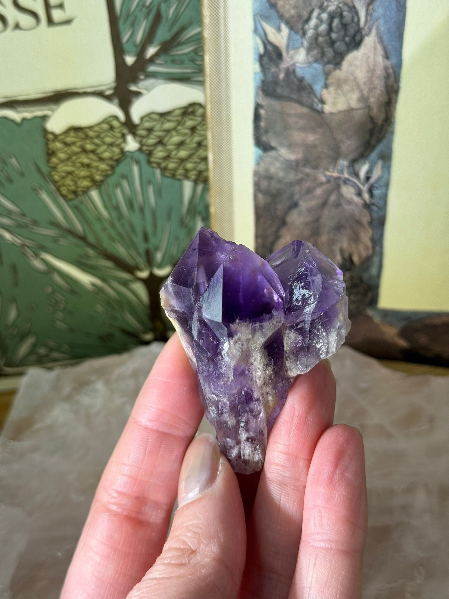 Amethist Punt - Nr 07