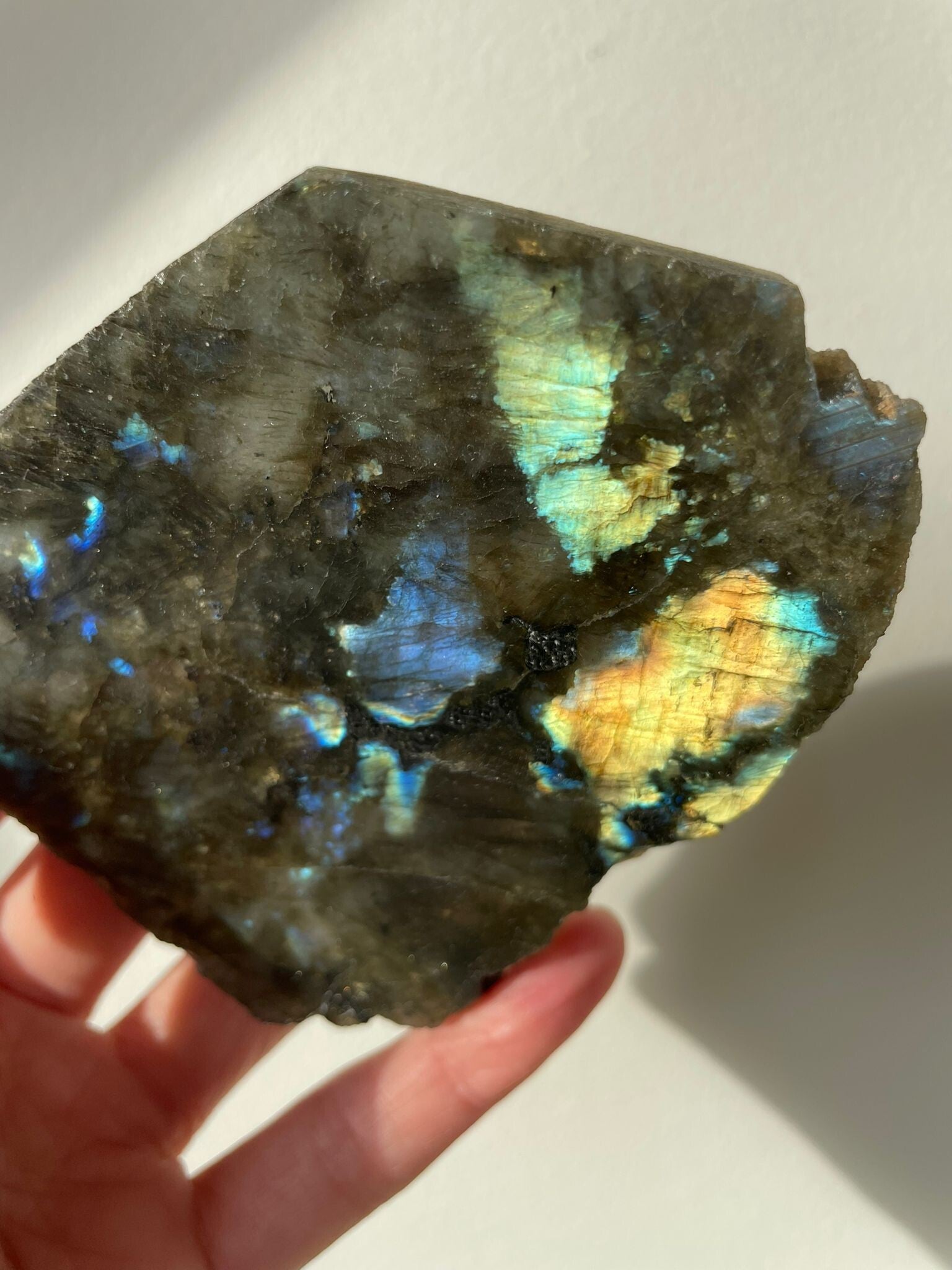 Labradoriet Schijf - Nr 02