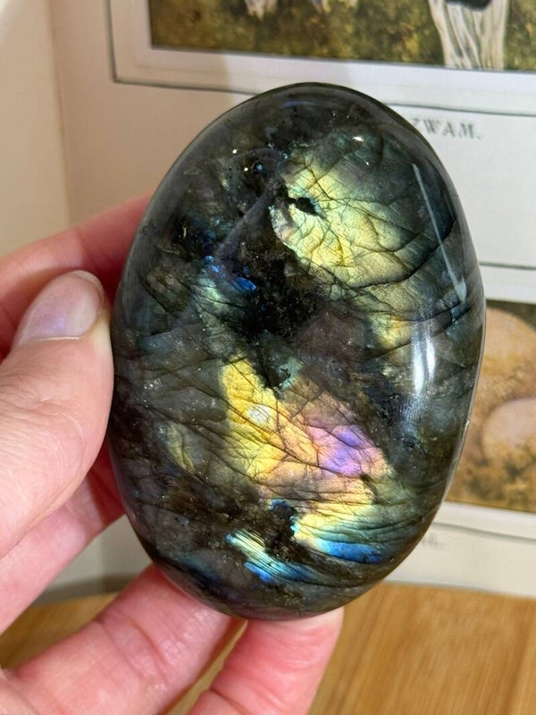 Labradoriet Handsteen - Nr 02