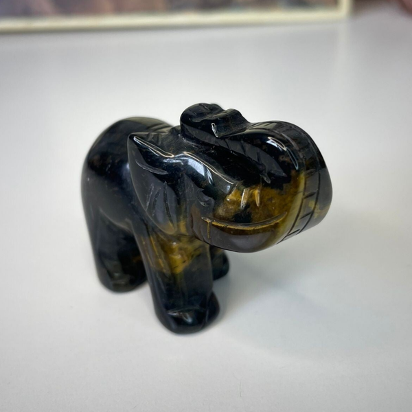 Tijgeroog / Valkenoog Olifant - Nr 01