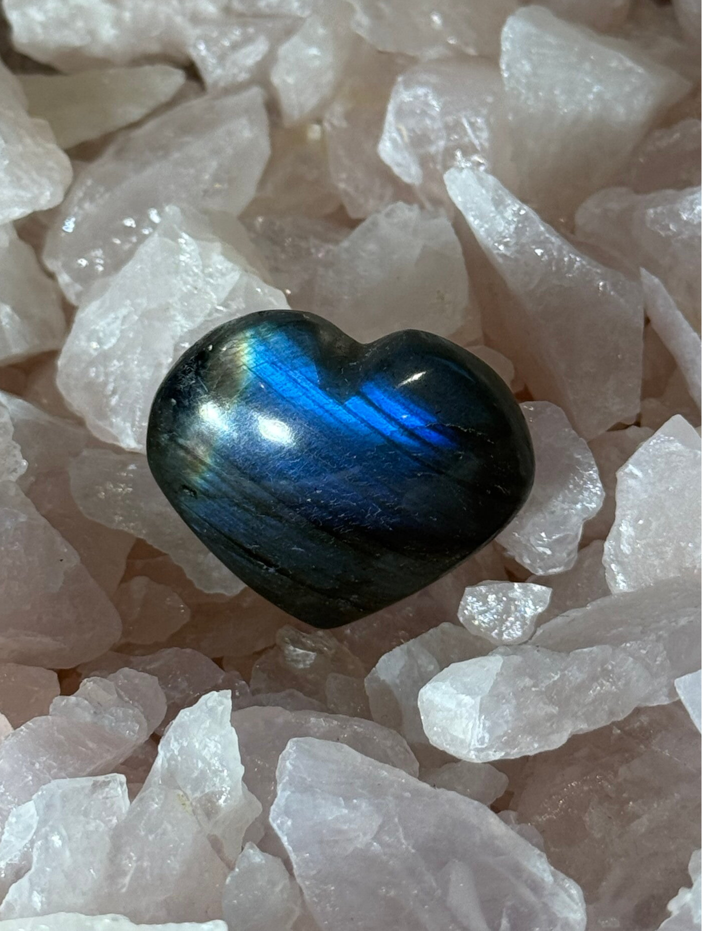 Labradoriet Hart - Nr 06