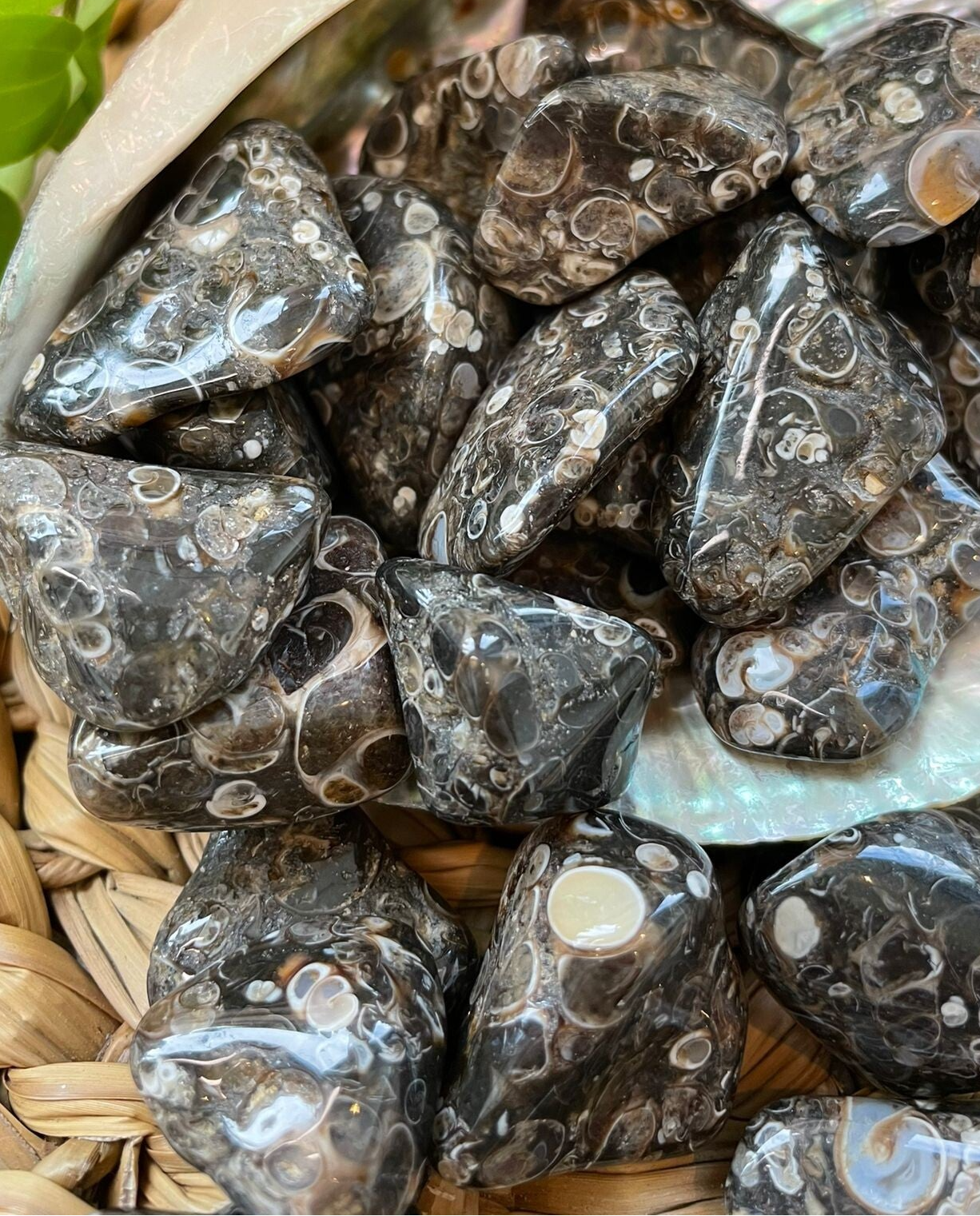 Turitella Agaat Trommelsteen M