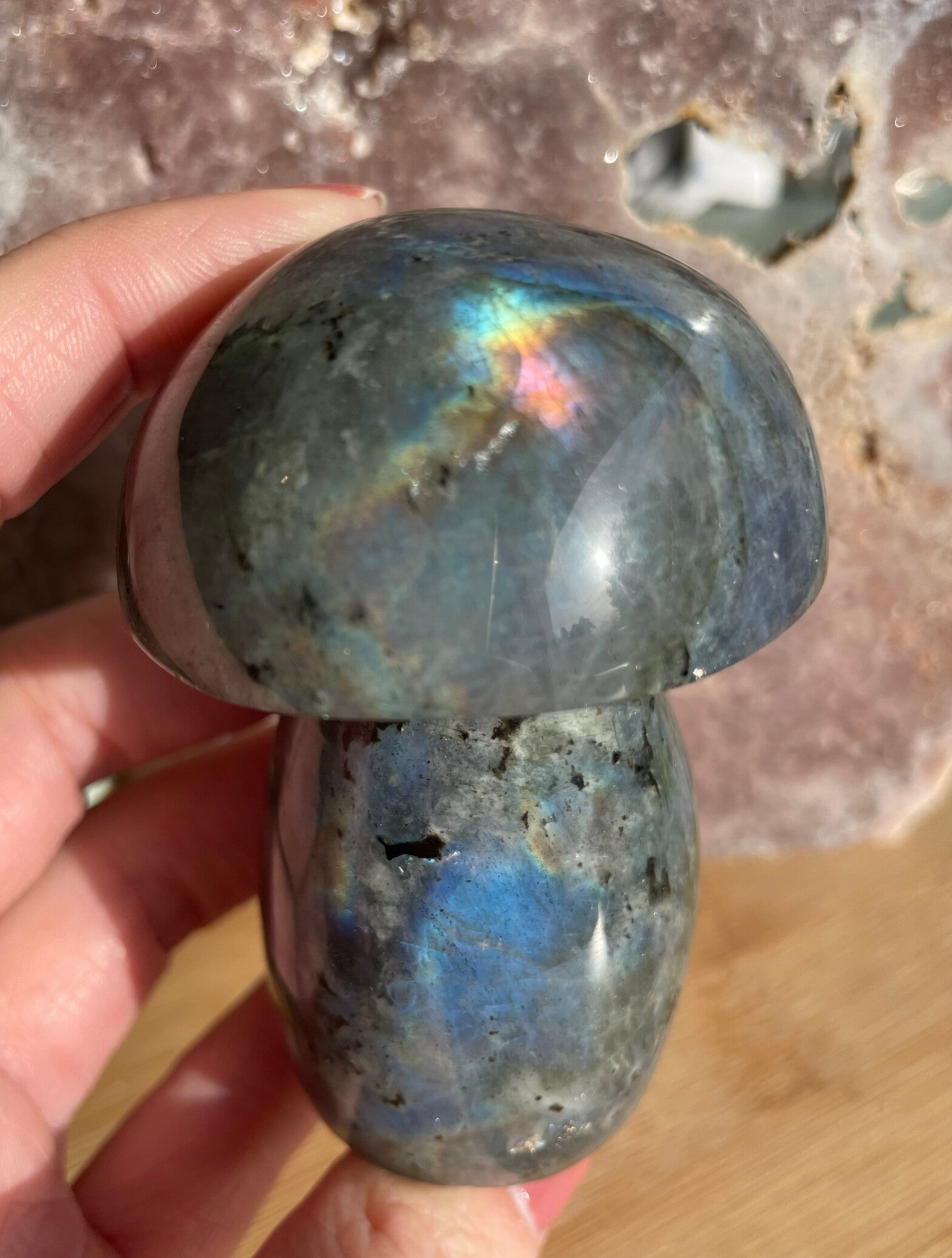 Labradoriet Paddenstoel - Nr 05