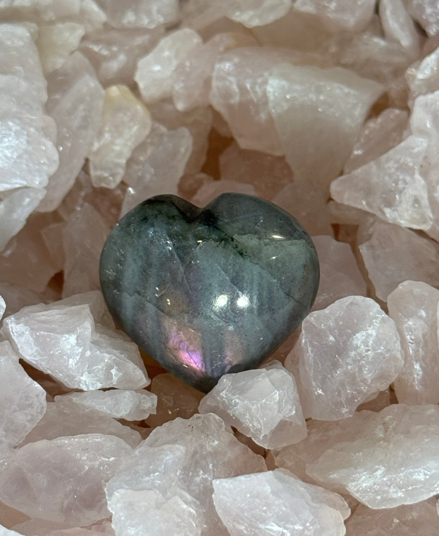 Labradoriet Hart - Nr 10