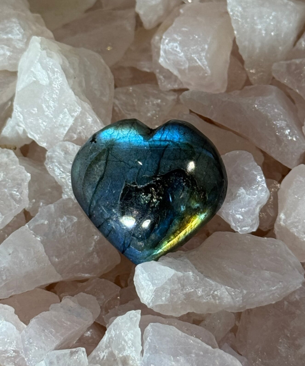 Labradoriet Hart - Nr 03