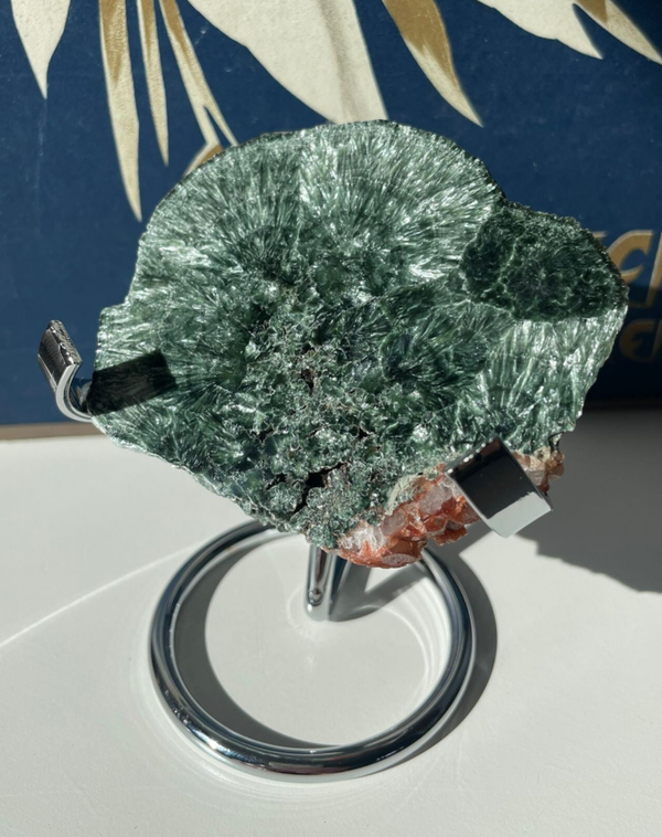 Serafiniet Schijf - Nr 01