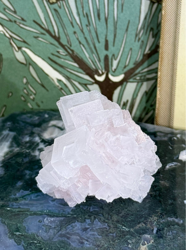 Haliet Cluster - Nr 01