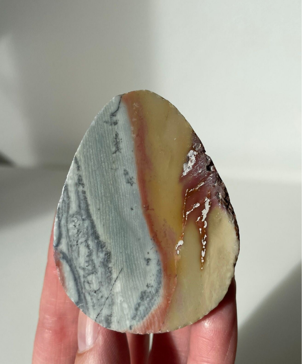 Polychroom Jaspis Emu Egg - Nr 03