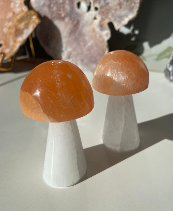 Seleniet Paddenstoel