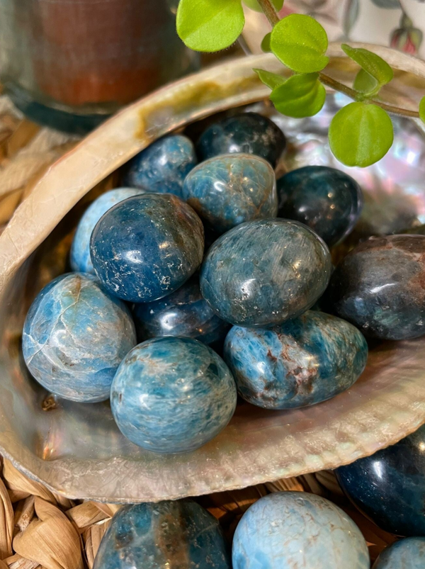 Apatiet Trommelsteen S/M