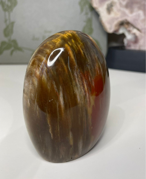 Versteend Hout Freeform - Nr 14