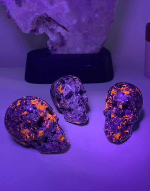 Syeniet Sodaliet (aka Yooperlite) Skull / Schedel  UV Reactief