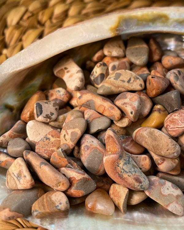 Luipaard Jaspis Trommelsteentjes XS  (Zakje 30 gram)