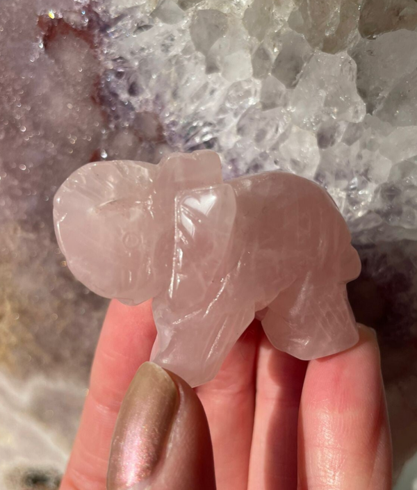 Rozenkwarts Olifant - Nr 01