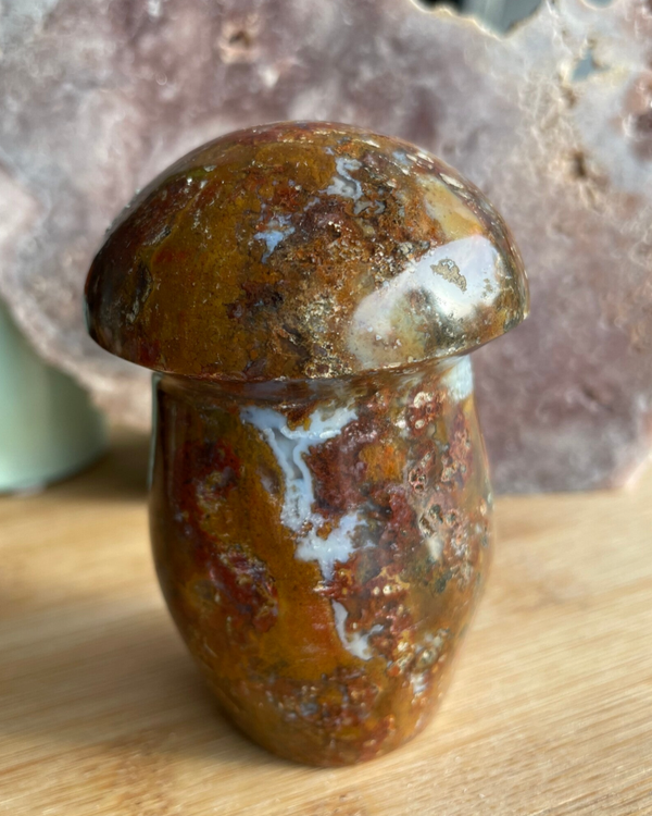 Oceaan Jaspis Paddenstoel - Nr 01