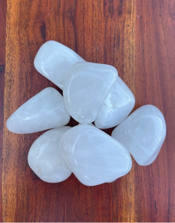 Melkkwarts Trommelsteen L